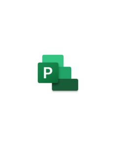 Microsoft Project Standard 2024 цифровая лицензия ESD | все языки | Retail версия