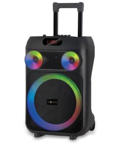 12" Karaoke Speaker